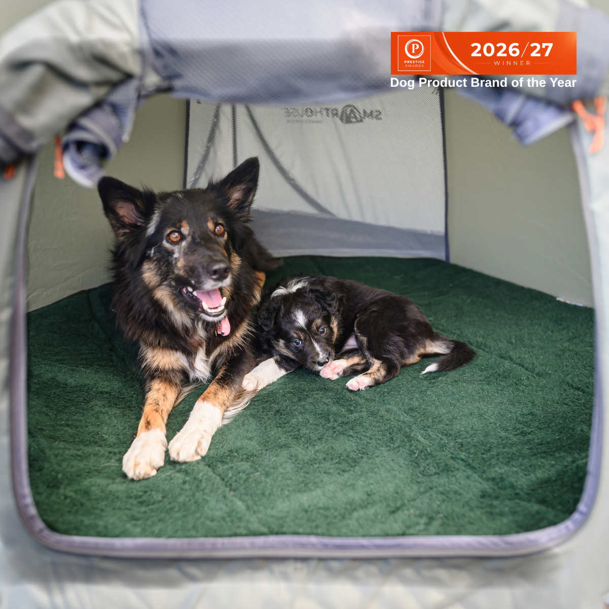 SmartHouse® - Dog - Billede 9